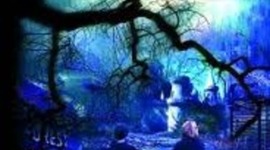 Timeline: Black Eyed Susan Book Report: Closed for the Season