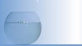 Timeline: Out of my Mind