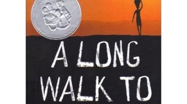 Timeline: A Long Walk To Water - Freytag's Pyramid