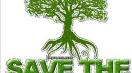 Timeline: Timber by Jaedyn