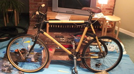 Timeline: Bamboo Bike