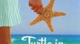 Timeline: TURTLE IN PARADISE - AISLINN CROSS