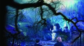 Timeline: Closed for the Season