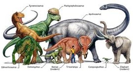 Timeline: Dinosaur time line by Kawai tristie gumilang xiang er