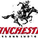 Winchesterlogo
