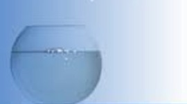 Timeline: BES- out of my mind