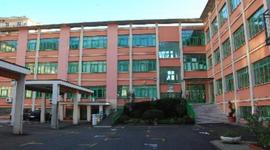 Timeline: Solimena-de Lorenzo