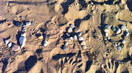 Timeline: J + A History