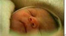 Timeline: Pregnancy and Prenatal Development