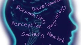 Timeline: Evolucion y Origen