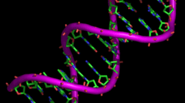 Timeline: Principales descubrimientos del ADN