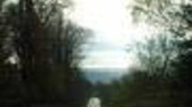 Timeline: This is ME!