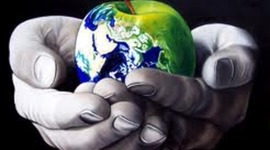 Timeline: una pequeña parte