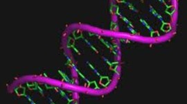 Timeline: descubrimientos del ADN