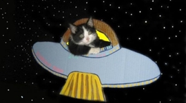 Timeline: MEN IN SPACE