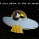 2010 12 31 08 04 09 5 the first cat was sent into the space by the franc