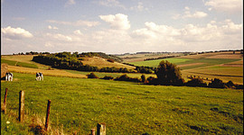 Timeline: Levi Zacharyasz Of Mice and Men