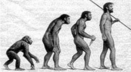 Timeline: ORIGEN Y EVOLUCION DE HOMBRE