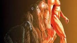 Timeline: ORIGEN Y EVOLUCION DEL HOMBRE