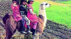 Timeline: Dimencion politaca, social y economica de ecuador