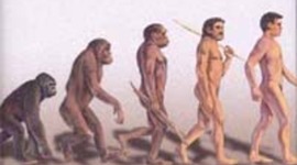 Timeline: ORIGEN Y EVOLUCION DEL HOMBRE