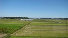 Timeline: 香港土地的利用