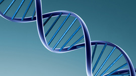 Timeline: Principales descubrimientos del ADN