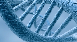 Timeline: Principales descubrimientos del ADN