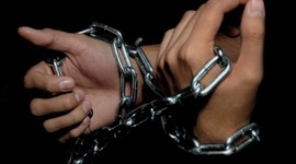 Timeline: Un año de carcel