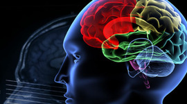 Timeline: Breve Historia De La Psicologia