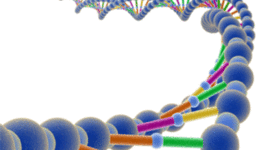 Timeline: Primordiales descubrimientos del ADN