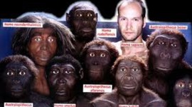 Timeline: origen y evolucion del hombre