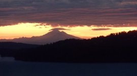 Timeline: Fired up Forest