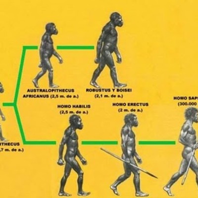 Timeline: EVOLUCION DEL HOMBRE A TRAVES DE LA HISTORIA
