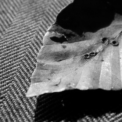 Timeline: Photos of the road