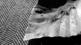 Timeline: Photos of the road