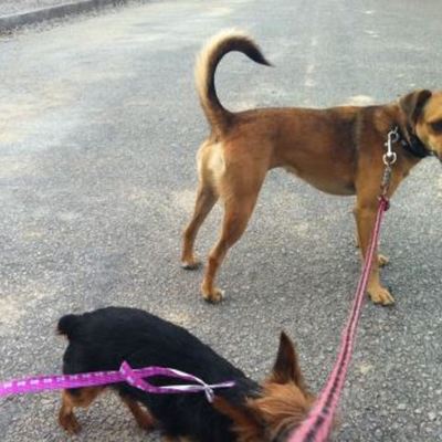 Timeline: teste timeline