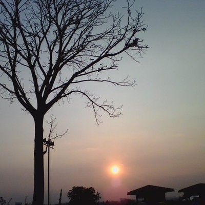 Timeline: RODRIGUEZKARLACTCT2