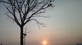 Timeline: RODRIGUEZKARLACTCT2