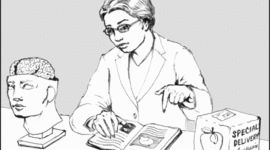 Timeline: Incios Psicologia