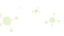 Timeline: OITT en el tiempo