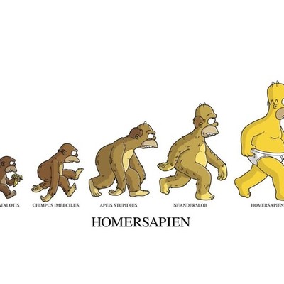 Timeline: Evolucion Del hombre