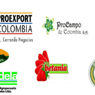 Timeline: HISTORIA EMPRESARIAL DEL AÑO 2000 AL  2007