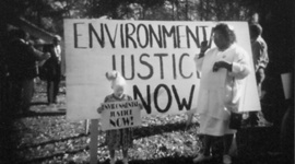 Timeline: Environmentalist Movement of the 1970's