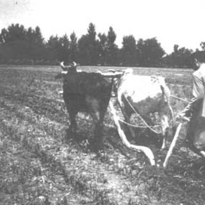 Timeline: SIGLOS ANTES DE CRISTO