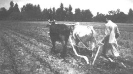 Timeline: SIGLOS ANTES DE CRISTO