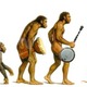 Evolution of music