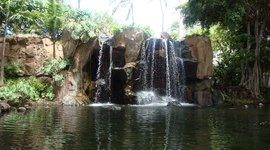 Timeline: RedditIsland Timeline