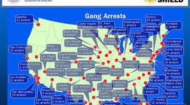 Timeline: History of Gangs in America