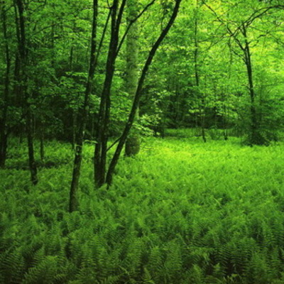 Timeline: La vida de Josep